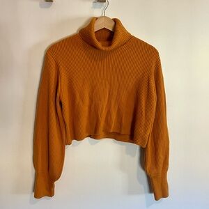 Aritzia Wilfred Turtleneck Sweater